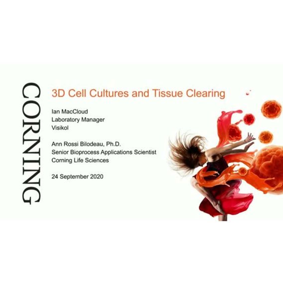 3D Cell Cultures and Tissue Clearing