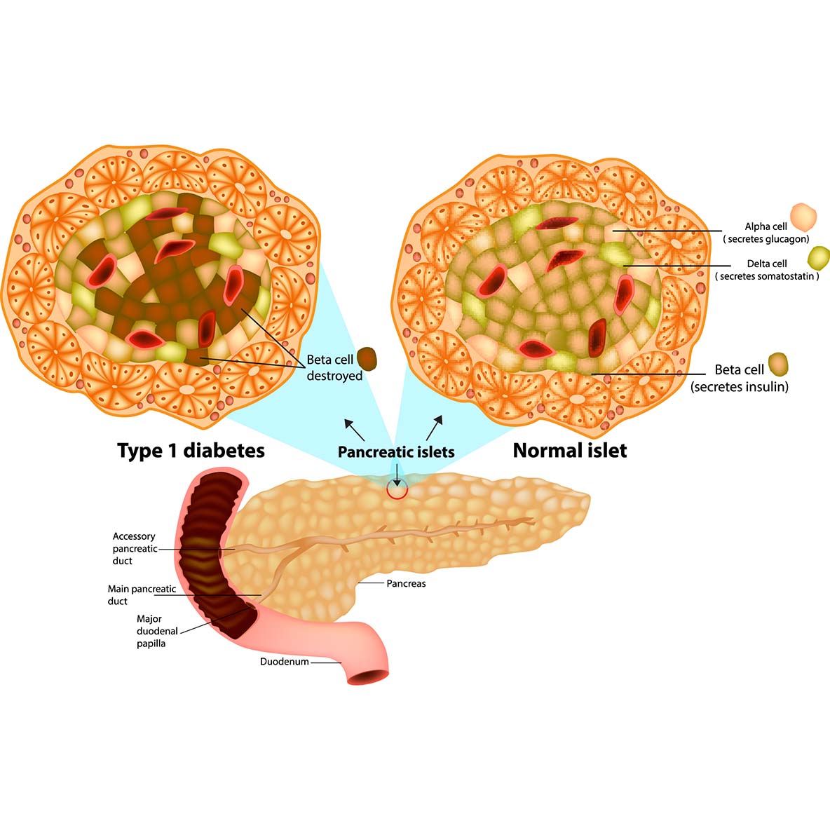semaglutide madison wi Semaglutide Weight Loss Madison WI
