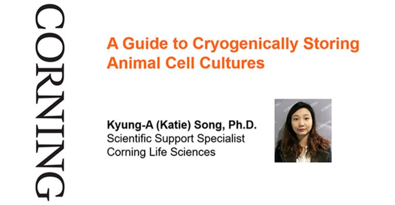 A Guide to Cryogenically Storing Animal Cell Cultures