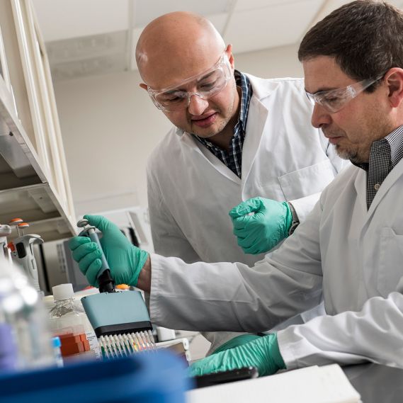 Two Scientists Working in Lab