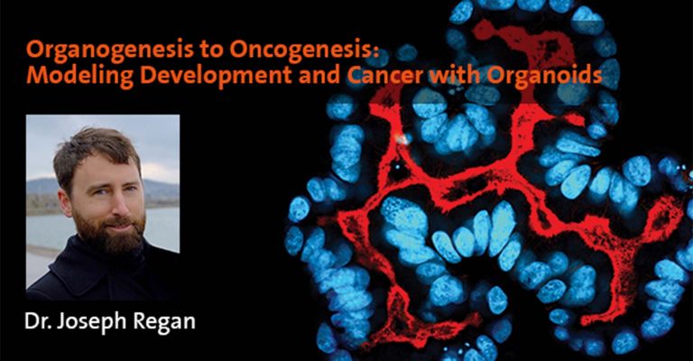 Organogenesis to Oncogenesis