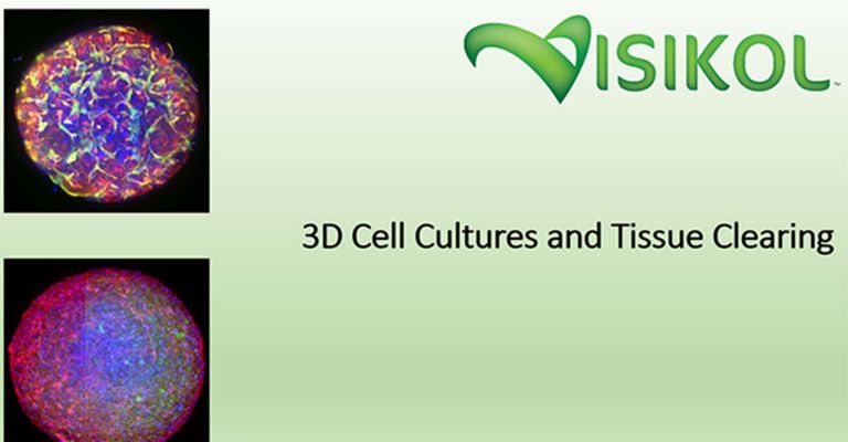 3D Cell Cultures and Tissue Clearing