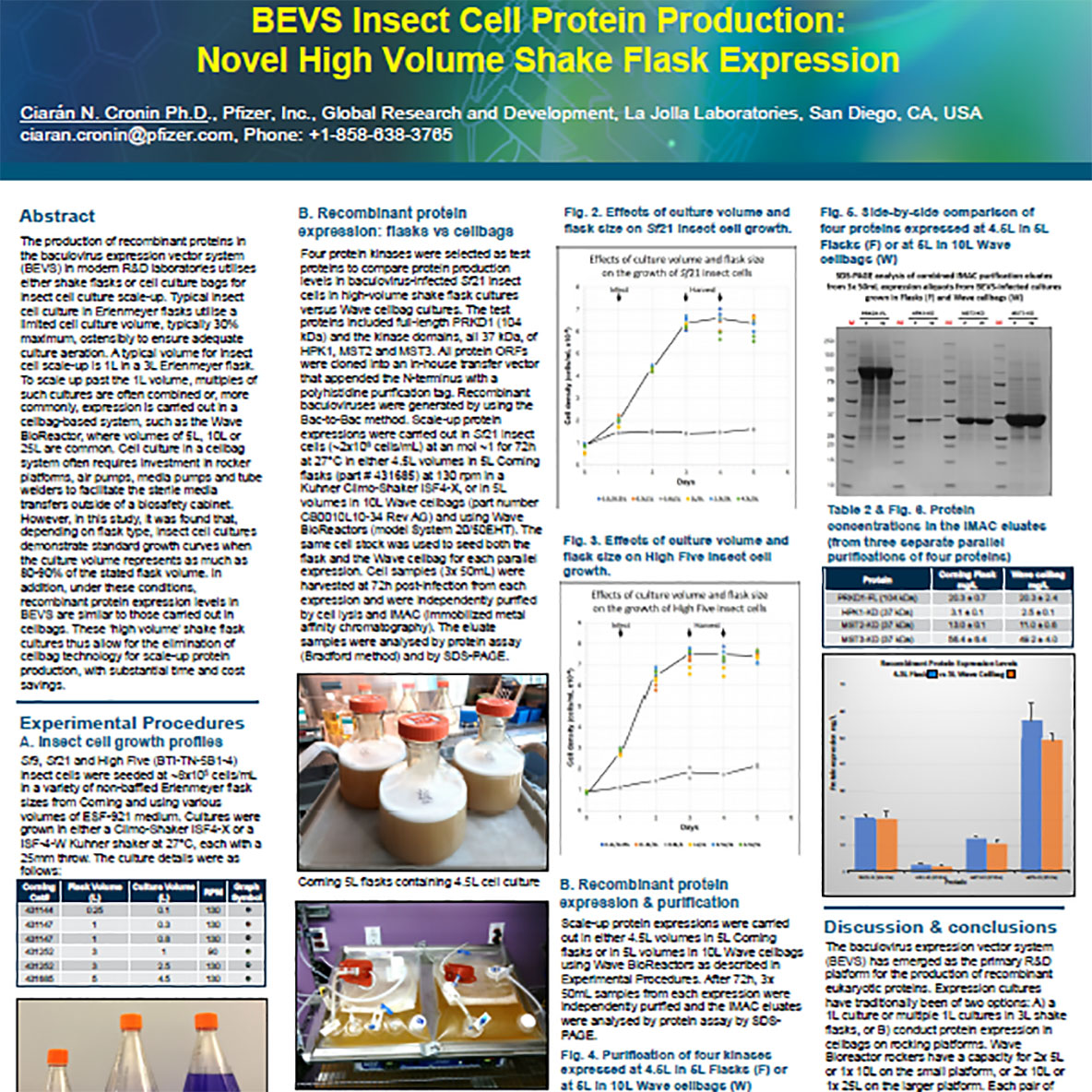 Poster: Cost Efficient R&D Scale-up for Insect Cell Recombinant Protein  Production