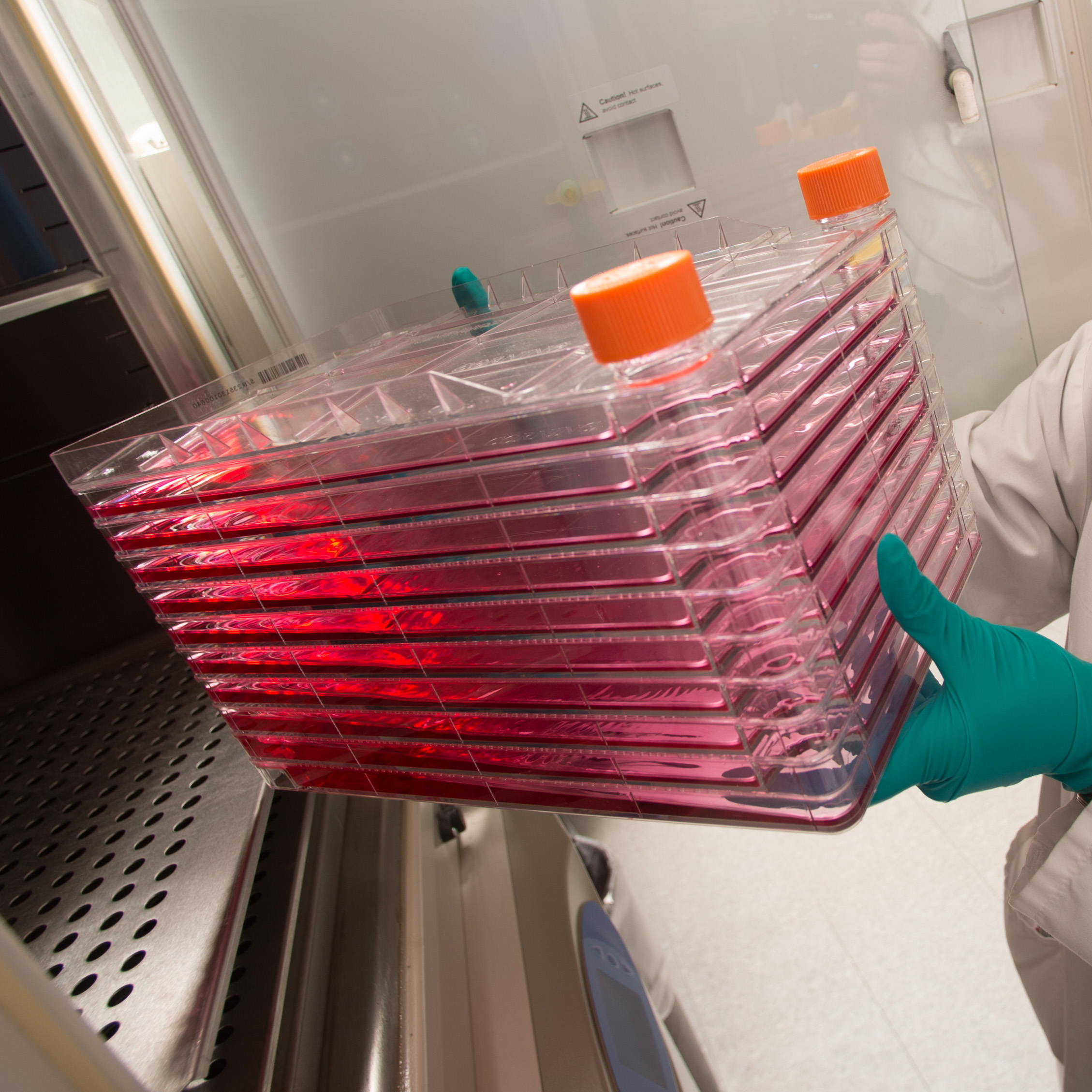 Corning CellSTACK 3269 ポリスチレンチャンバー ベントキャップ付き 2