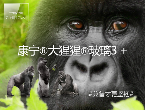 康宁®大猩猩®玻璃3 +