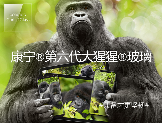 Corning Gorilla Glass 6