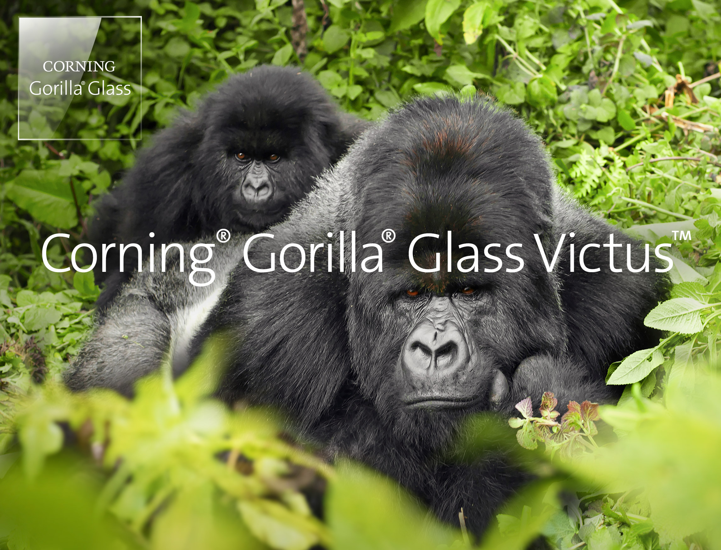Gorilla Glass Victus | 康宁® 大猩猩®玻璃