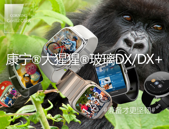Gorilla Glass DX, Gorilla Glass DX+