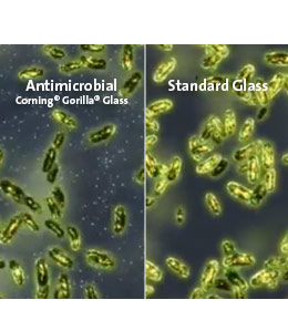 Antimicrobial Gorilla Glass | Corning Gorilla Glass