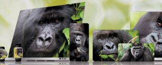 Mobile Consumer Electronics