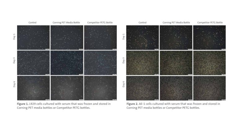 Discover more about the performance of Corning PET Media Bottles compared to PETG competitors for low-temperature serum storage.