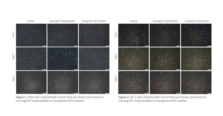 Discover more about the performance of Corning PET Media Bottles compared to PETG competitors for low-temperature serum storage.