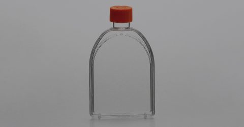 Corning® 75 cm<sup>2</sup> Flask
