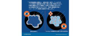 3D Cell Imaging Micrographic