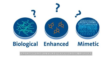 Cell Culture Surfaces Explained