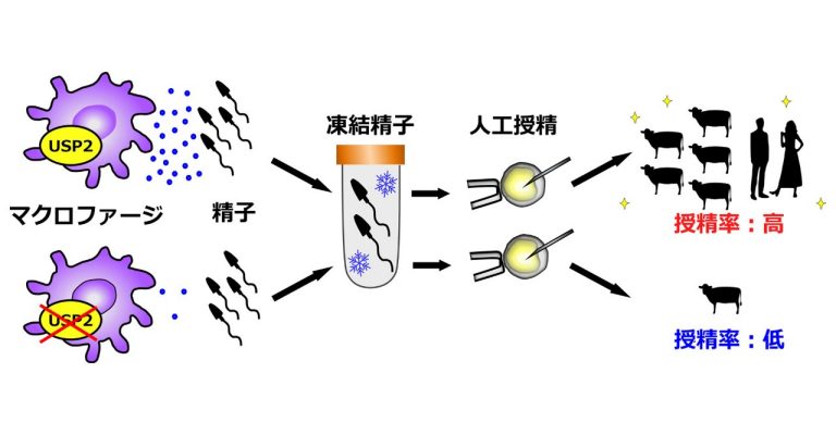 北村教授論文