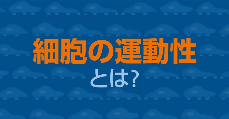 細胞運動性とは？