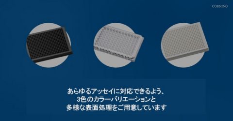 Corning ELISA マイクロプレート