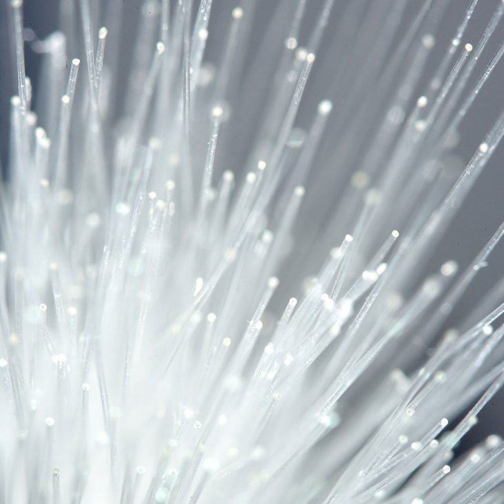 Optical Communications in WIRED