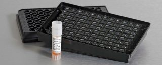 Corning® 3Dスフェロイド用初代ヒト肝細胞