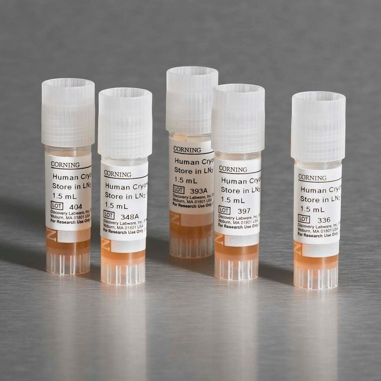 Corning® 3D Spheroid-qualified Primary Human Hepatocytes Sell Sheet