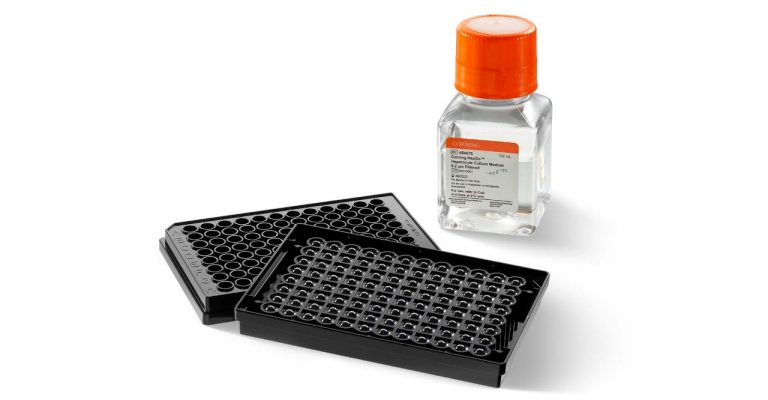 HepGo™ Assay-ready 3D Liver Spheroid Kit