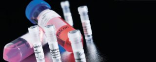 ISSX 2015 North American Annual Meeting