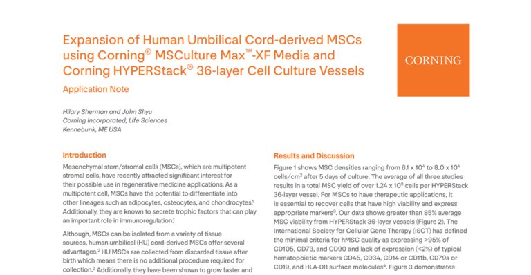 Human Umbilical Cord-derived Mesenchymal Stem Cell Production in Corning® HYPERStack® 36-layer Cell Culture Vessels