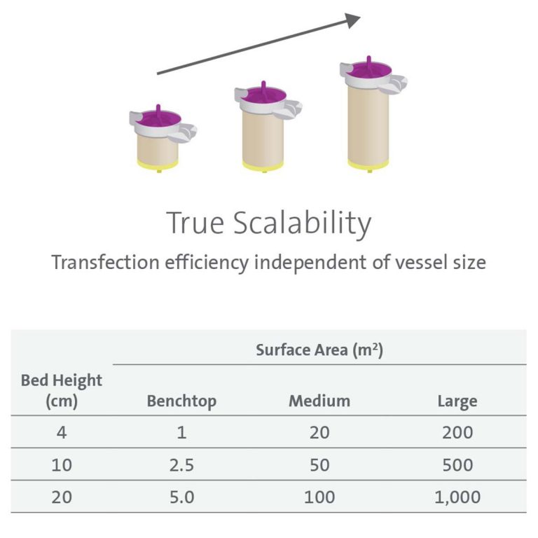 Linear Scalability