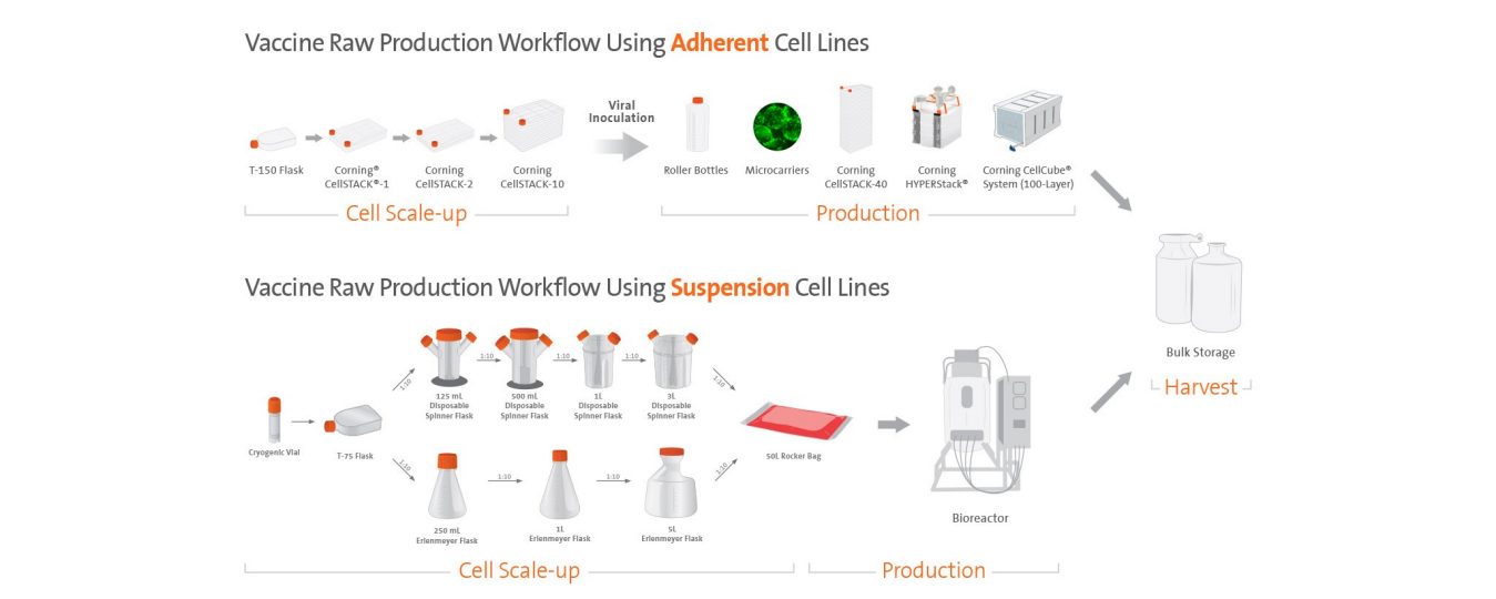 vaccine manufacturing business plan