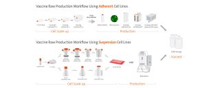 cls-bioprocess-vaccine-scale-up-diagram-5B.jpg