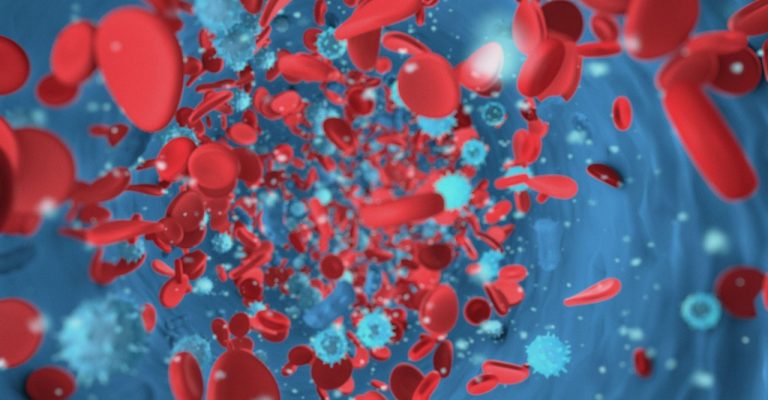 Red Blood Cells
