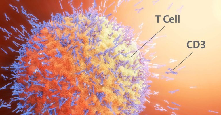 T Cell illustration