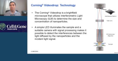 Extracellular Vesicles Therapy Research Products | Corning