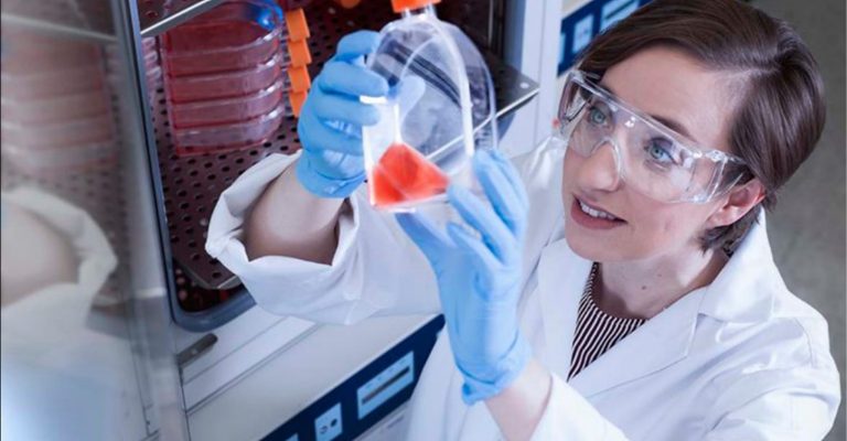 stripette serological pipet