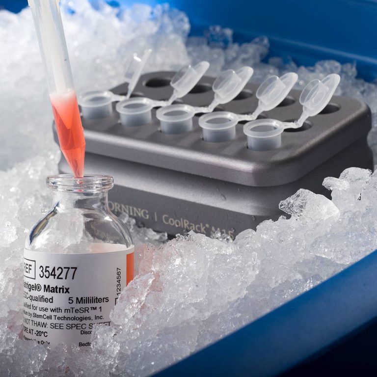 Matrigel on ice