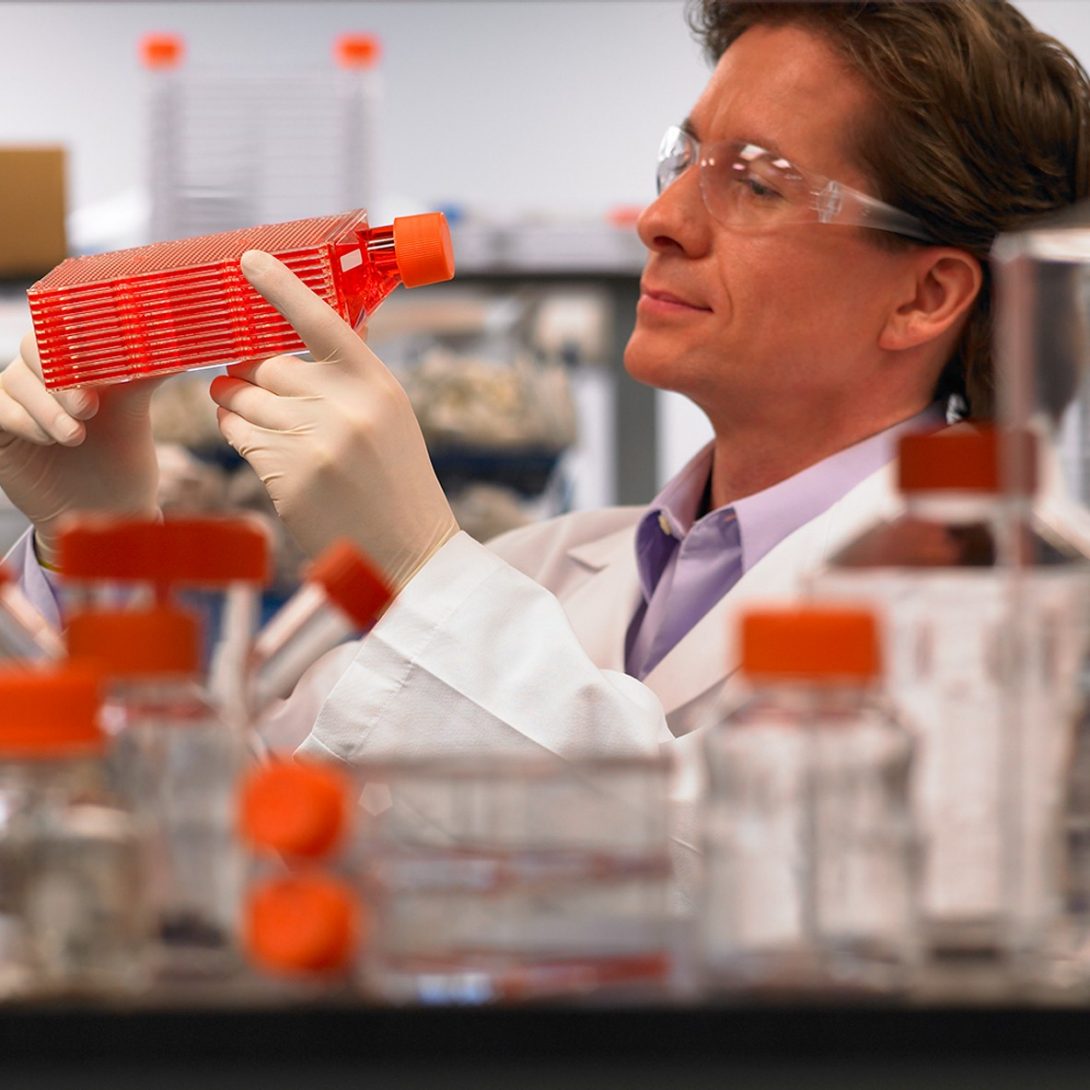 XLAB System Mononuclear Cell Isolation Corning