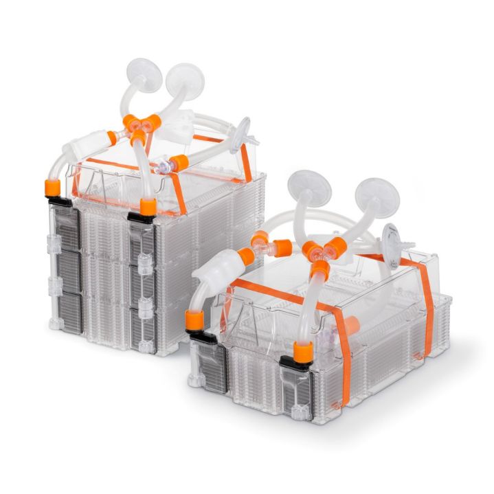 Vaccine Manufacturing and Development Scalable Vaccine Production