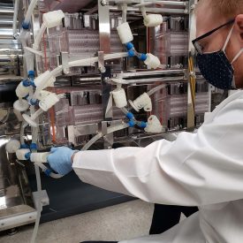 Scientist Working with adherent vessels