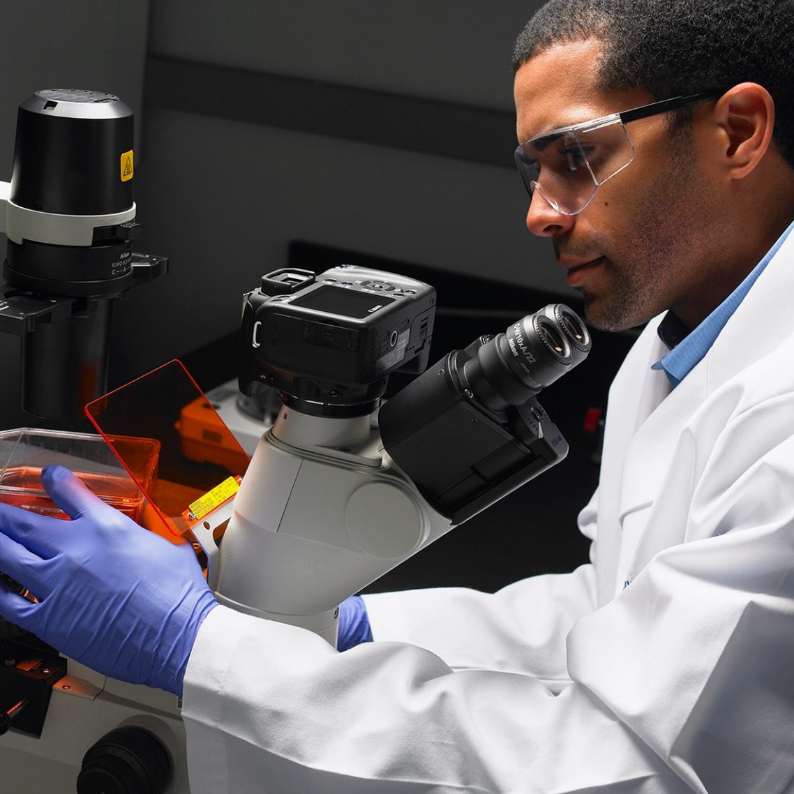 Cell Expansion Cell Culture Expansion ScaleUp Corning