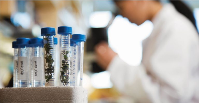 Falcon Product Selection Guide