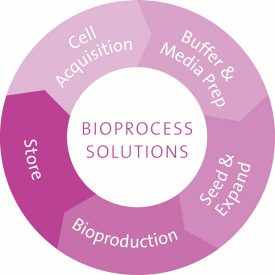 Workflows Bio Process