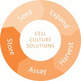 Workflows Cell Culture