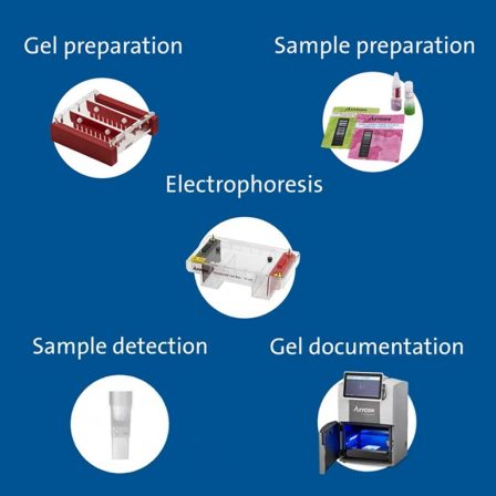 Electrophoresis. Beginning to End Solutions.