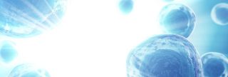 Corning® Cell Counter