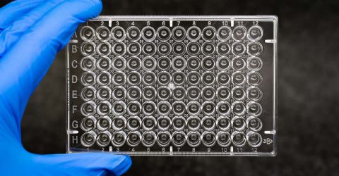 Mimicking Corning Matrigel matrix dispensing into 96-well microplates using Corning Pluronics sacrificial ink 