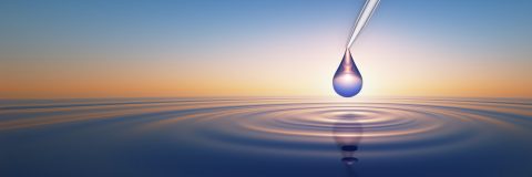 Axygen® MaxRecovery+™ Pipette Tips