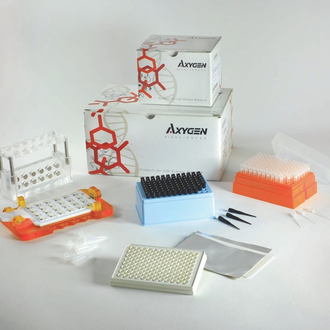 Genomics Applications and PCR Consumables | Corning