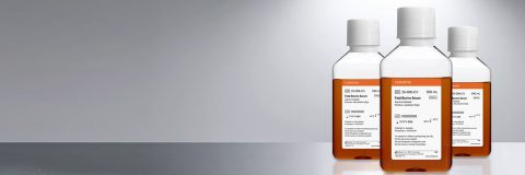 Corning Fetal Bovine Serum