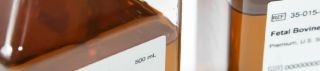 Request to Sample Corning® FBS Products